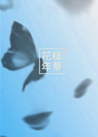 [娛樂圈]花樣年華小说封面